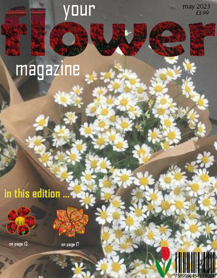 Magazincover
