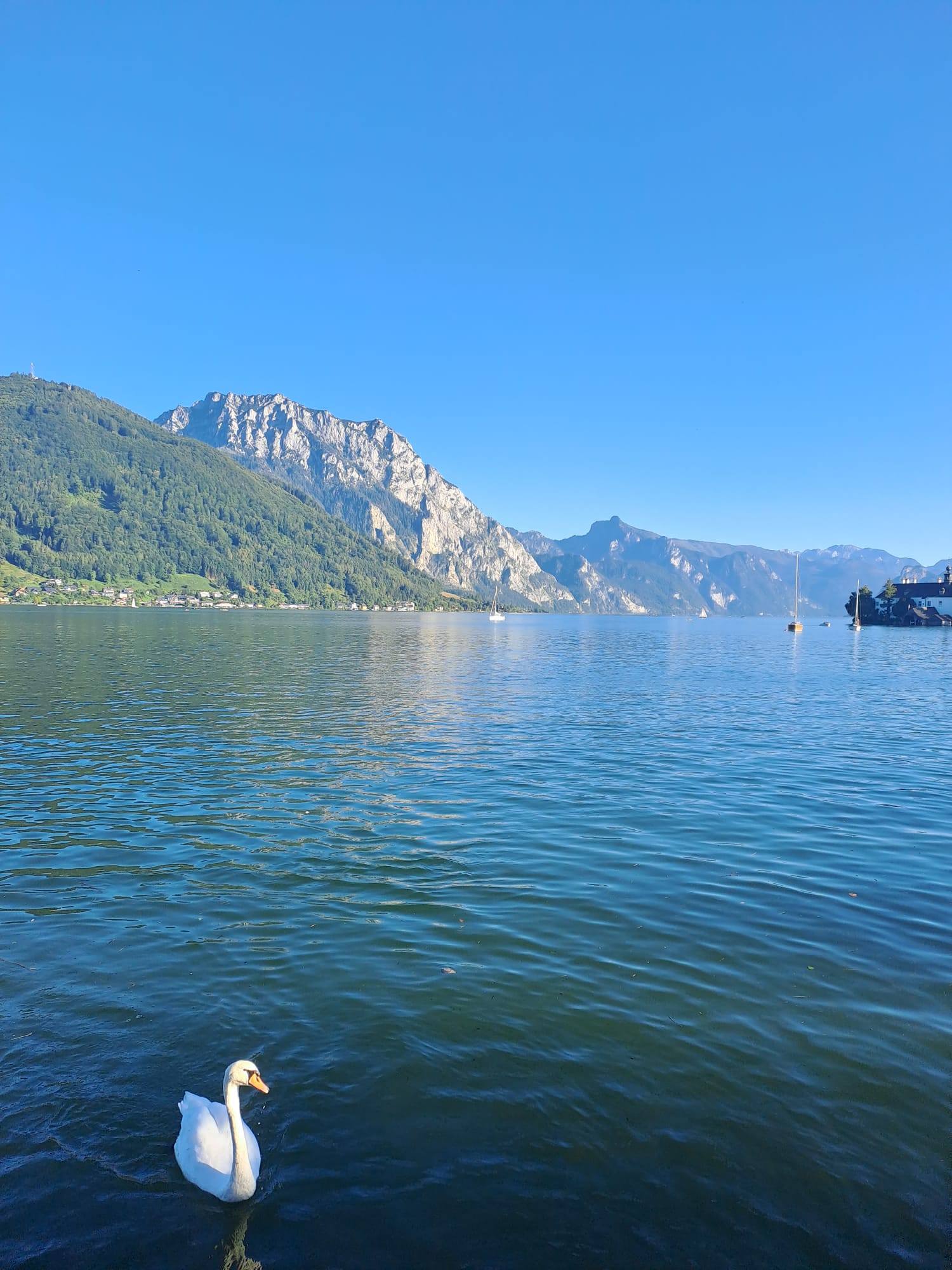 See Gmunden